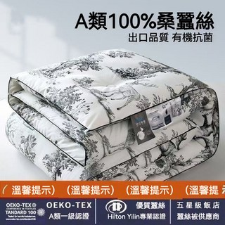 蠶絲被 100%桑蠶絲 加厚冬被 全棉春秋被 單雙人四季被 學生宿舍被芯, 羅馬-墨灰,150x200cm3斤【單人空調被】