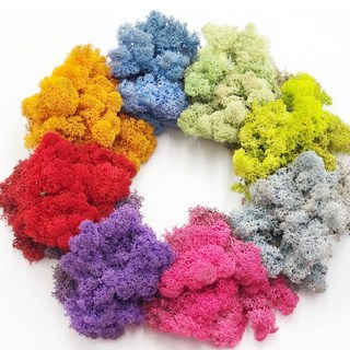 스칸디아모스 소분 20g 30g 50g 500g 소포장 DIY, 민트20g, 1개