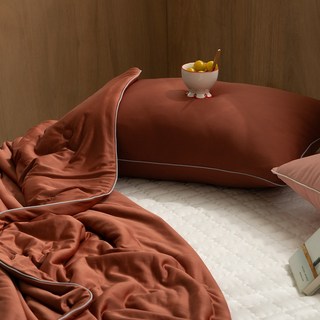 냉감 여름 쿨 베개커버 2p, 브릭 브라운