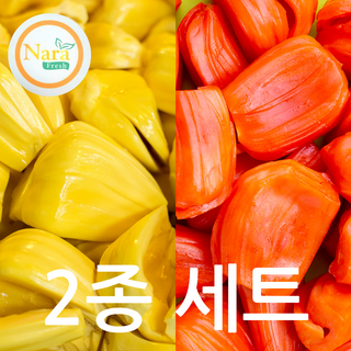 열대과일