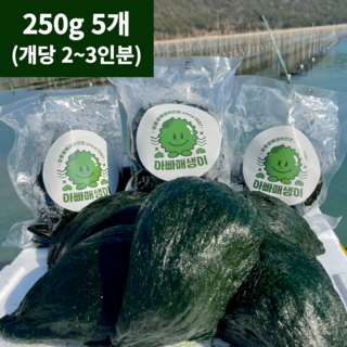 26년 아빠매생이 장흥 내저 찰 햇매생이 생산자직배송 진공포장, 5개, 250g