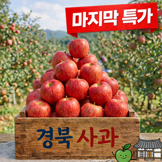 [반짝특가] 초고당도 가정용 사과 꿀사과 중소과, 1박스, 5kg