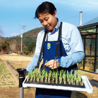 허리지게 모종판 모종가방 이식기, 1개