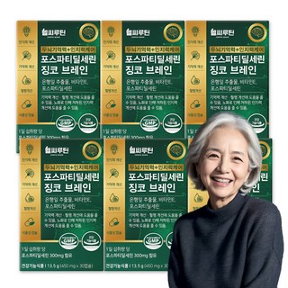 헬씨루틴 두뇌 기억력 인지력 케어 포스파티딜세린 징코 브레인, 6개, 30정