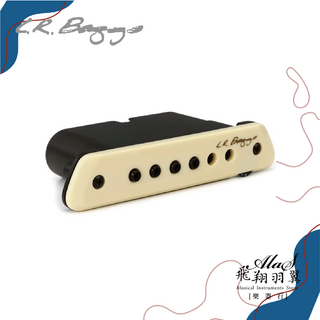 C.R. Baggs 拾音器, 1個