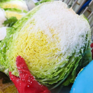 해남 절임배추 20kg 김장배추 황금배추 해남절인배추(도착희망일을 베송메시지에 남겨주시면 됩니다.) [원산지:국산], 12월23일(화)수령,, 1개