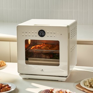 디온리 올스텐 스팀 에어프라이어 무연마제 고온자동세척 15L 대용량 오븐 NRS423CW