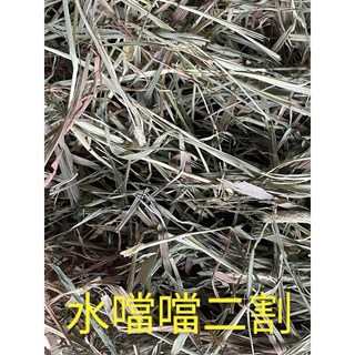 ※兔老爺※現貨快速出貨 提摩西2割 提摩西 兔子飼料.提摩西1割.兔子牧草 提摩西二割 一割 T2牧草 狼尾草, 1個, 美國提摩西三割(全葉),500克