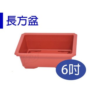 【醬米資材】長型淺盆 盆景多肉植物小盆栽 / 6吋長方盆/有兩色, 咖, 1個