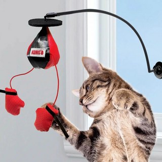 장갑 고양이 복싱 인터랙티브 손과 챔피언 게임 야외에서 달린 새끼 1 토스 사이즈, 1개