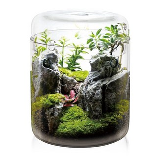그린월드 와디언 케이스 미니 (MINI 120)테라리움 사육장 비바리움 식물 케이지, 1개, 투명