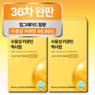 [4개월분] 강황 수용성 커큐민 식약청 HACCP 인증 (대용량), 2개, 120정
