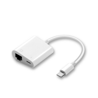 HONG JIN 宏晉 百兆乙太網路轉換器 帶供電孔 Apple可用 手機平板皆可使用 Apple轉RJ45, 1個, 水果接口