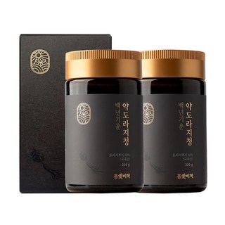 몸애비책 백년기운 산삼 약도라지청, 250g, 2개, 1개입