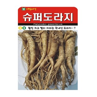 슈퍼도라지 씨앗 (합 2000립) 도라지 종자, 2개