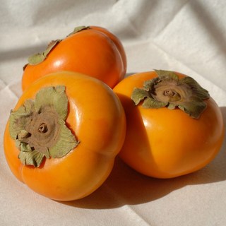 [당도선별] 아삭달콤한 프리미엄 제철 단감 태추 부유 차량, 1개, 대과 10kg(46과 내외)