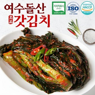 영농조합법인 여수 돌산 갓김치 1kg 2kg 3kg 당일생산제조 국내산100%, 1개