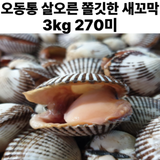 남해안 통통한 새꼬막 피꼬막 특대 피조개 산지직송 1차세척, 1박스, 새꼬막 3kg