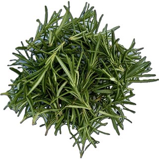 데코용 로즈마리 짧은잎 유기농허브, 1개