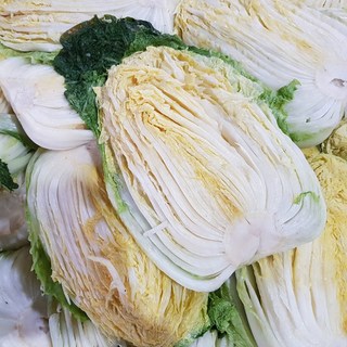 [MD추천] 강원도고랭지배추 직접재배 국산천일염 지정일배송 명품황둔배추 8~10포기, 12월 22일출발12월 23일도착, 1박스, 20kg