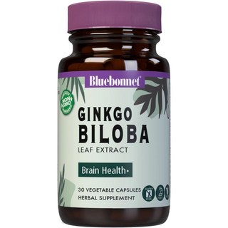 식물성 기억력개선 치매예방영양제 혈액순환제 혈행개선제 정맥순환개선제 징코 빌로바 60mg 30캡슐, 1개, 30정