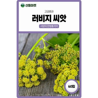 산들마켓 러비지 허브 씨앗 60립 약용으로 사용하는 미나리과 다년생 허브씨 종자, 4개