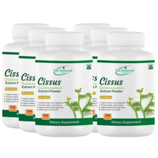 불멸의 시서스 추출물 70배 고농축 100% 시서스 250 gm 분말 씨저스 씨서스, 250g, 6개