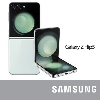 삼성 Z플립5 F731 A급