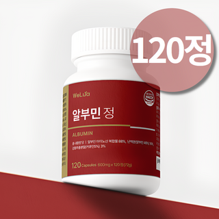 고함량 알부민 정 먹는 난백 알부민 액티브 골드 미슬토 아티초크 강황 정 알브민 알루민, 1개, 120정