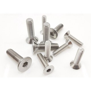 M6內六角平沉頭機械牙304不鏽鋼螺絲 全牙螺絲, 1個, M6＊ 10mm ( 5支)