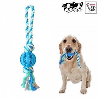 펫투유 우쭈쭈 덴탈 로프츄 (블루) (강아지 장난감), 1개, 본상품선택