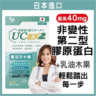 普頓 日本專利 UC2 40毫克 非變性二型膠原蛋白+葡萄糖胺+軟骨素+乳油木果 高含量高效低溫萃取, 1個, 盒