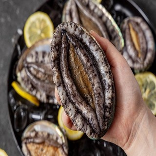 [전남도지사품질인증]직거래 활 전복 완도 진도 꼬마전복 30-40미 1kg 산지직송, 1000개