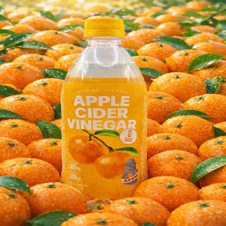 클룹 애사비소다 제주감귤 제로음료, 24개, 500ml