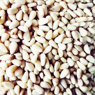 振新商行 生松子仁 特大5A 顆粒飽滿, 1個, 一斤/600g