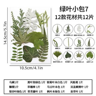 小葉子系 真花壓花 永生花 綠葉材料包 少女寫真 壁畫 DIY水晶滴膠 乾燥花 植物標本, 7. 12片小葉系列