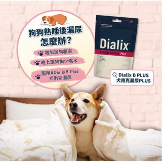 Dialix B PLUS犬用克漏尿PLUS-犬隻漏尿管理，添加B群，維護神經系統健康, 1個