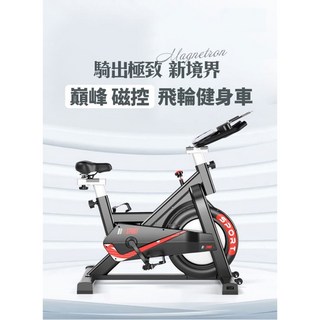 健康老施 磁控飛輪健身車 動感室內單車 有氧運動 台灣現貨 原廠保固