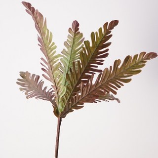 現傑波斯草仿真鳳尾蕨 高品質仿真花 單枝植物墻造景裝飾 北歐風仿生假綠植, 1個, 新款單枝鳳尾蕨