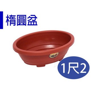 【醬米資材】腰子盆 淺根植物適用 楕圓造型盆栽盆器-1尺2 台灣製造, 咖啡, 1個