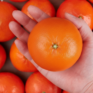 고당도 제주 홍미향 동백향 썬레드 빨간귤 산지직송 프리미엄 감귤 선물용 가정용, 1개, 진한 단맛 제주 홍매향 소과 벌크 2.5kg21-30과