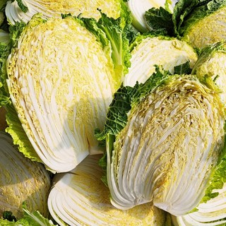 빠리농산 국내산 해남 배추 1포기 (2kg), 2kg, 1박스