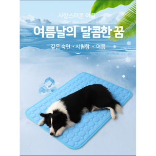 강아지 쿨 매트, 1개