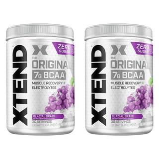 1. 사이베이션 X텐..