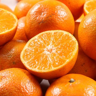 제주도 햇 조생 노지 감귤 10kg (당일배송), 10kg(중대과), 1개