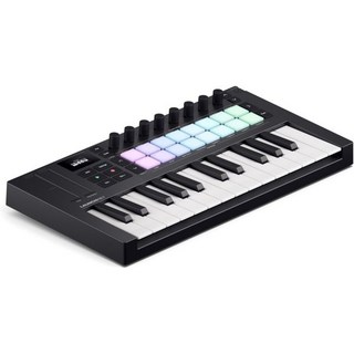 Novation Launchkey 61 MK4 – DAW 통합 기능을 갖춘 키 반가중치 USB MIDI 키보드 컨트롤러. 코드 및 스케일 모드 8개의 드럼 패드 아르페지오 음악, 25 Keys Mini
