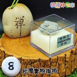 轉運旺旺來 斑點石 原礦標本 非洲產 珍稀礦石收藏 多款選擇, 1個, B8/斑點石vabanite非洲