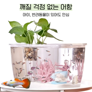 소원담 깨지지 않는 튼튼한 어항 수조 뚜껑 거북이 구피, 1개, 투명