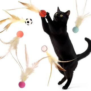 바닐라그라스 고양이 탱탱볼 깃털 장난감, 6개, 혼합