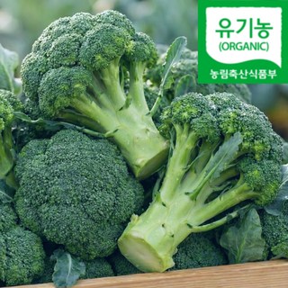 강주농원 국내산 유기농 브로콜리 브로컬리 특상 특품, 1박스, 1kg